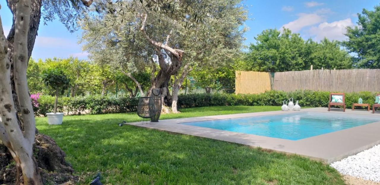 סנטה מריה דל פוקלו Villa Federica Con Piscina/With Pool מראה חיצוני תמונה