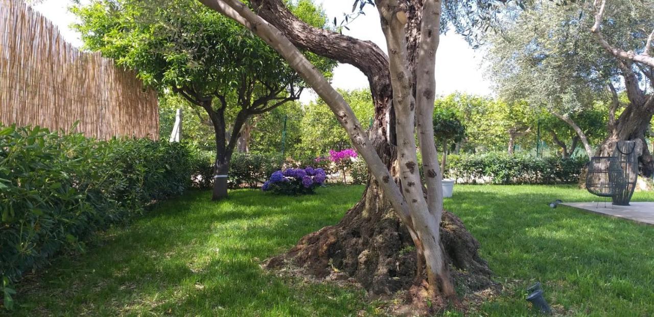 סנטה מריה דל פוקלו Villa Federica Con Piscina/With Pool מראה חיצוני תמונה